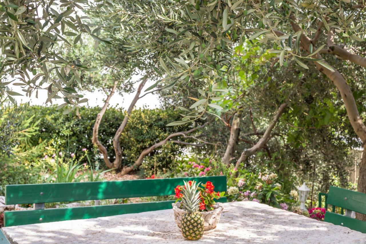 Jure Apartment Makarska