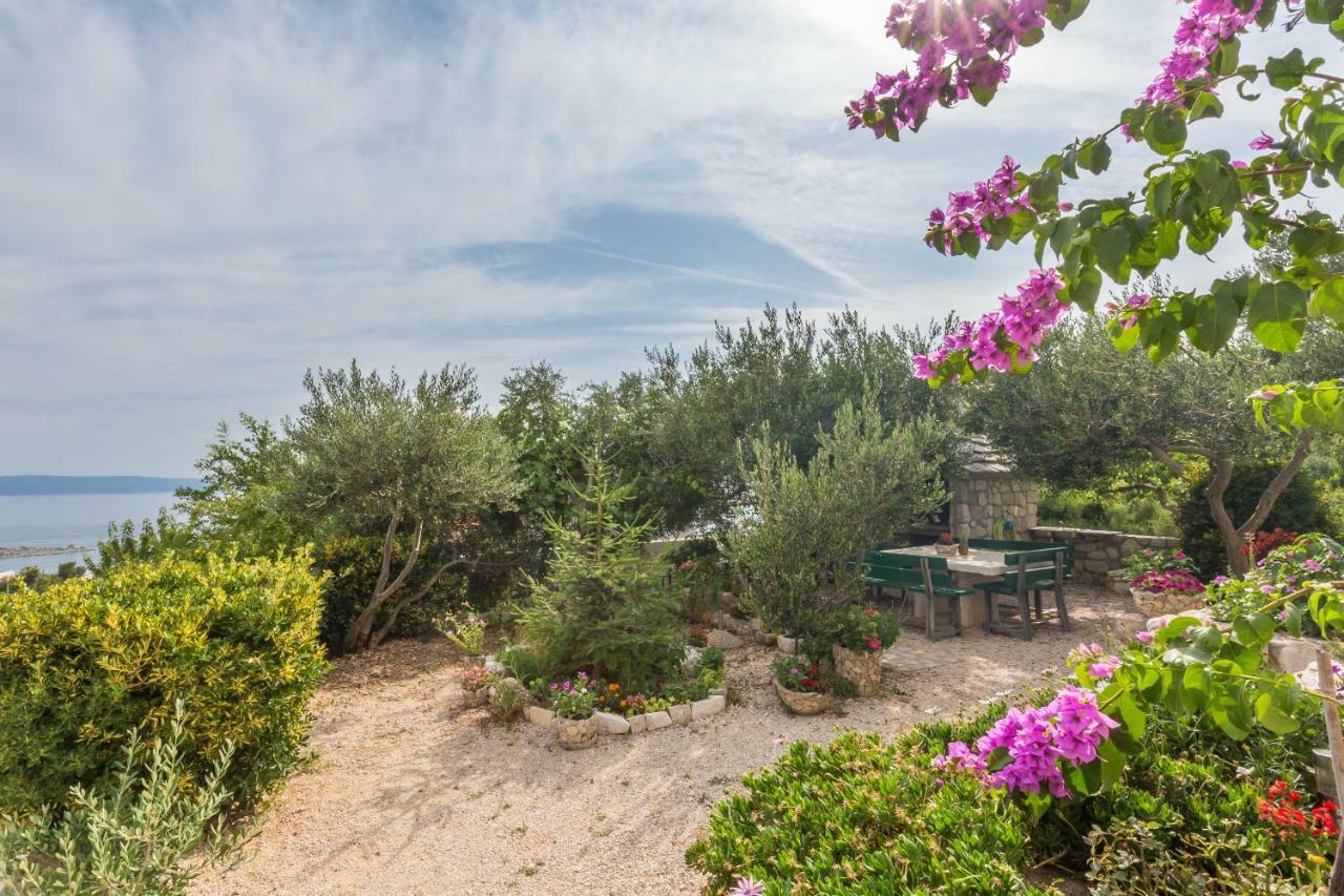 Apartment Jure Makarska